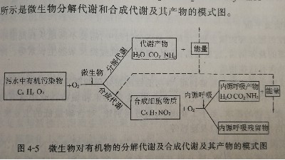 <i style='color:red'>活性污泥</i>法處理工業(yè)廢水的機(jī)理